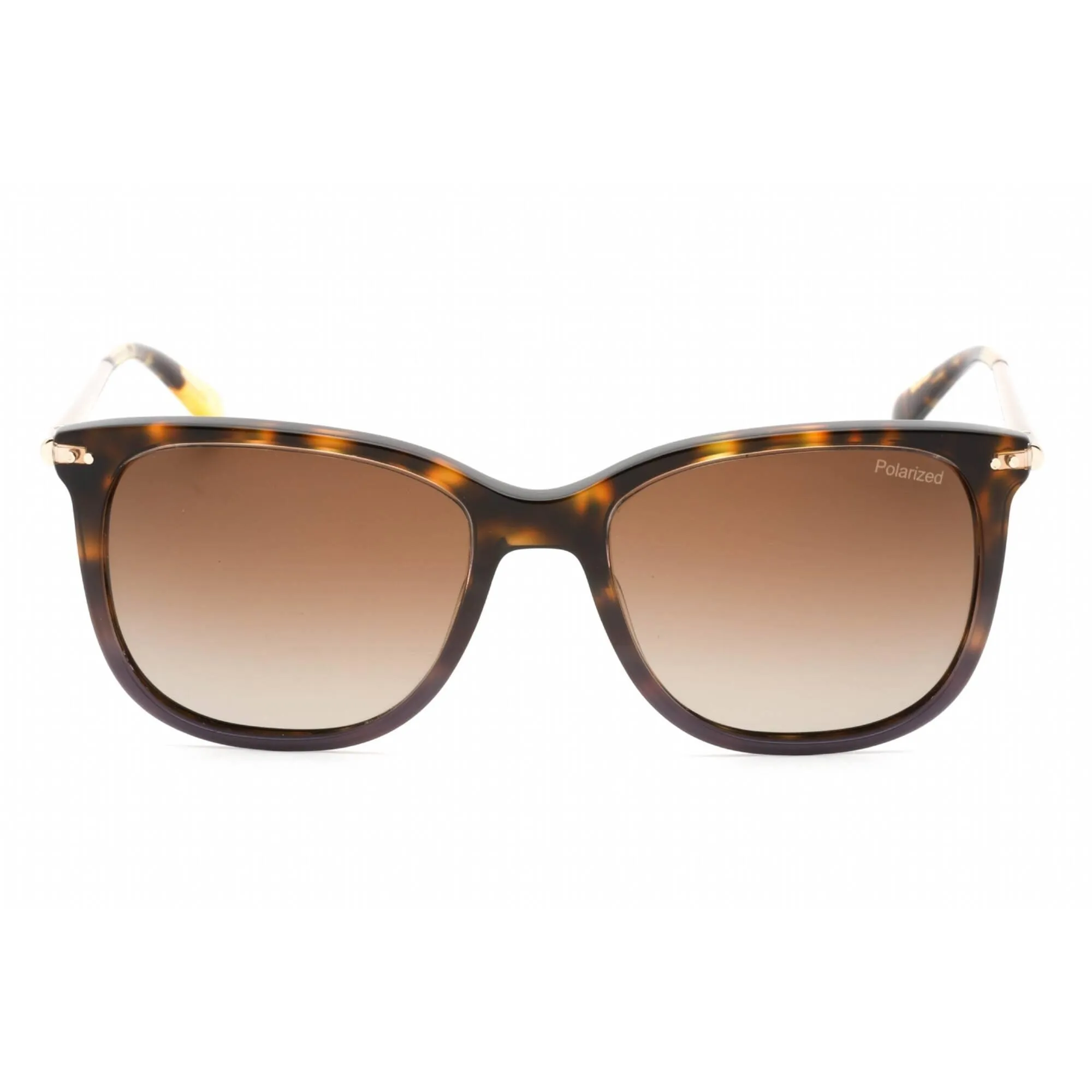 Banana Republic Women's Sunglasses - Havana Violet Plastic Frame | BR 2005/S 0AY0 00