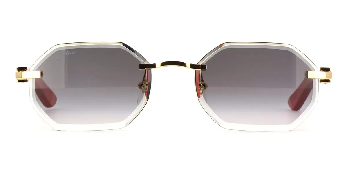 Cartier CT0439S 003