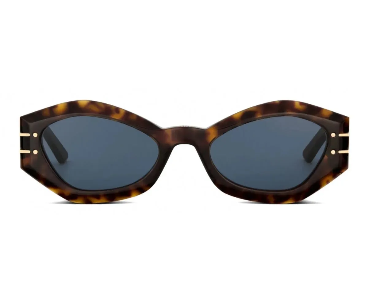 DIORSIGNATURE B1U 40058U 20B0 55