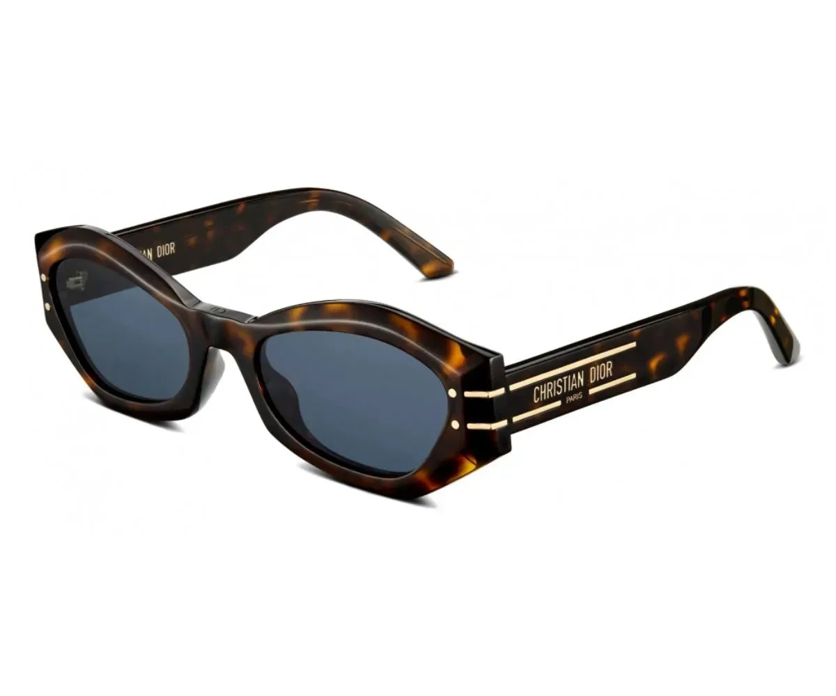 DIORSIGNATURE B1U 40058U 20B0 55