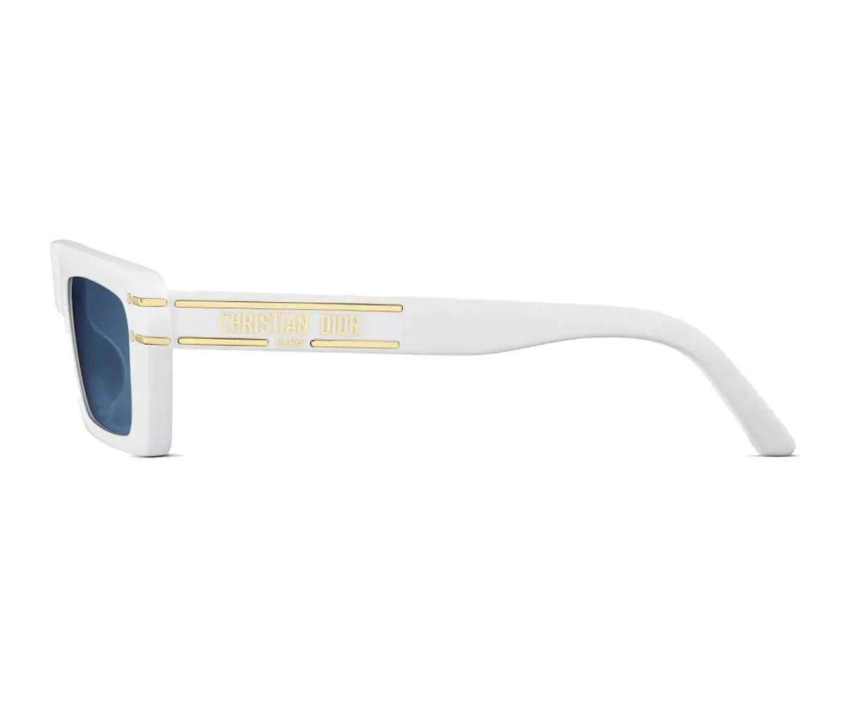 DIORSIGNATURE S2U 40067U 50B0 54