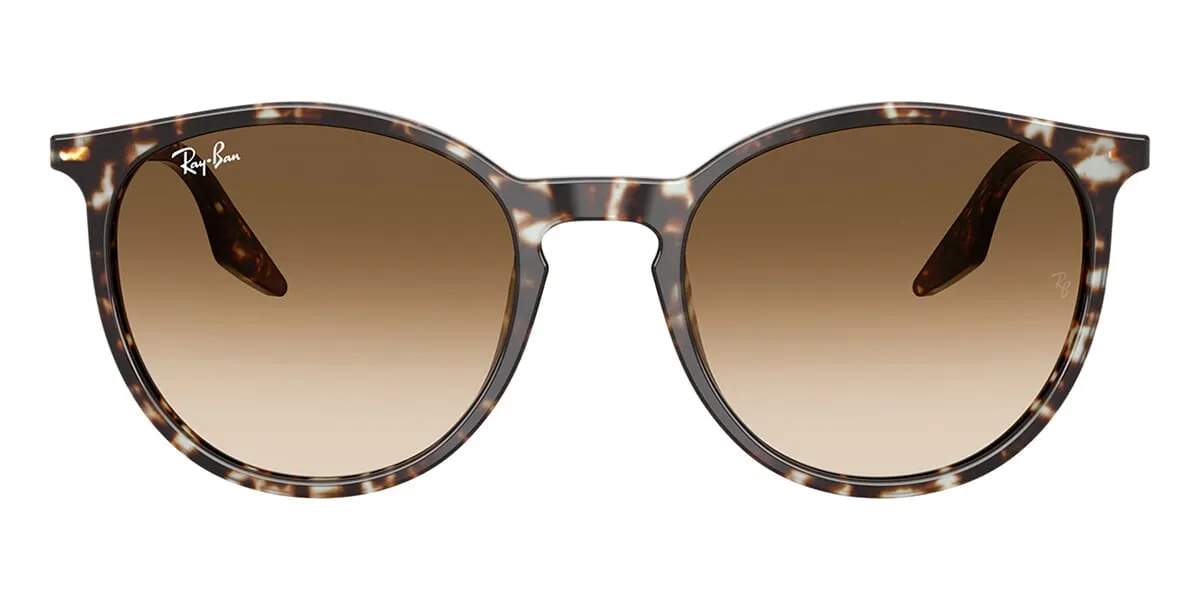 Ray-Ban RB 2204 1431/51