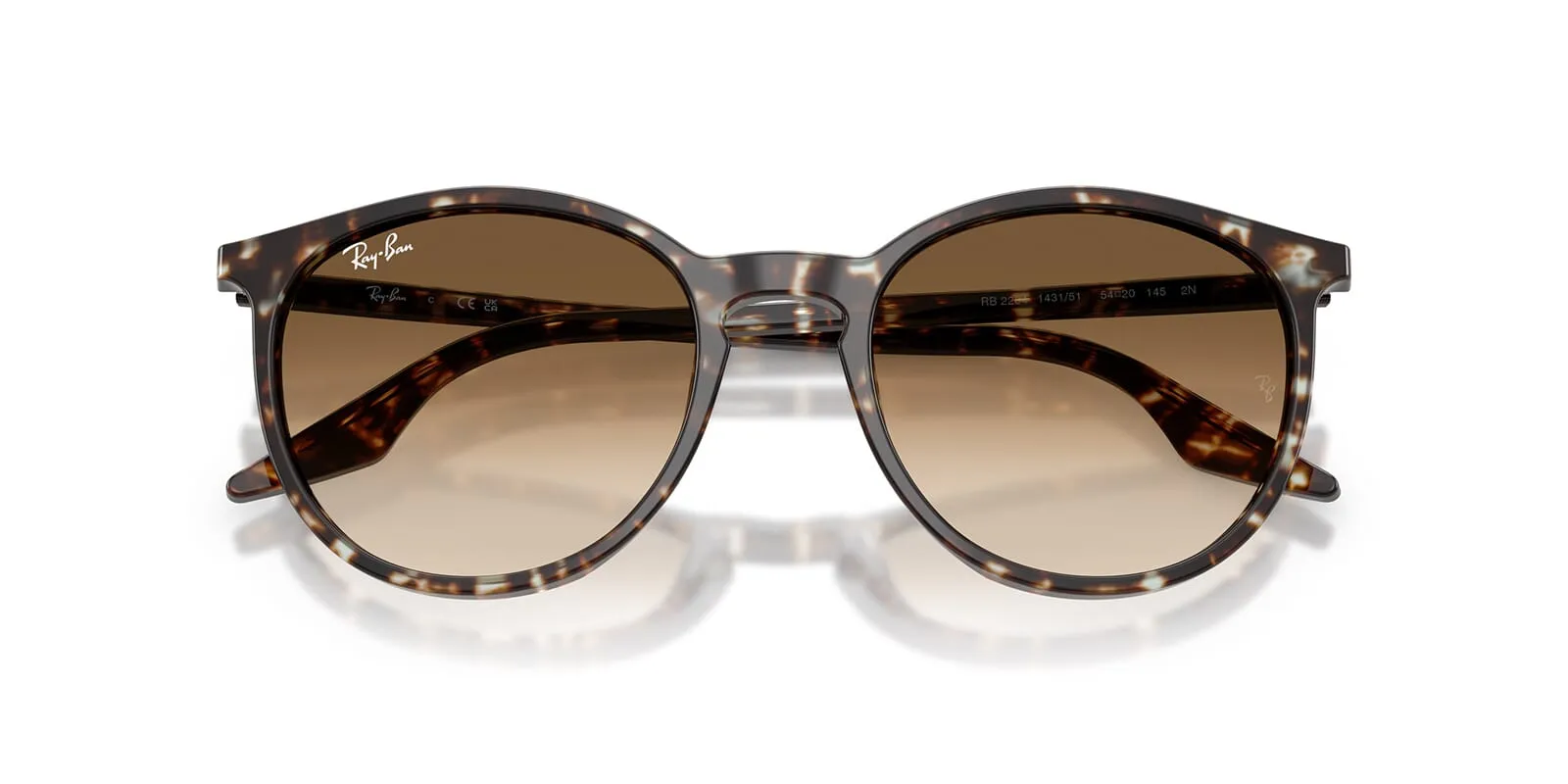Ray-Ban RB 2204 1431/51