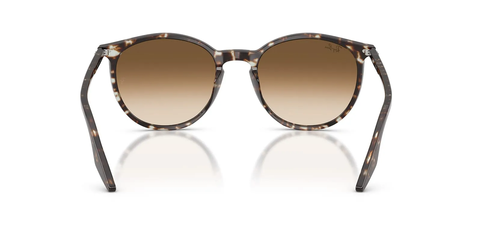 Ray-Ban RB 2204 1431/51