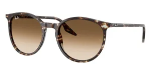 Ray-Ban RB 2204 1431/51