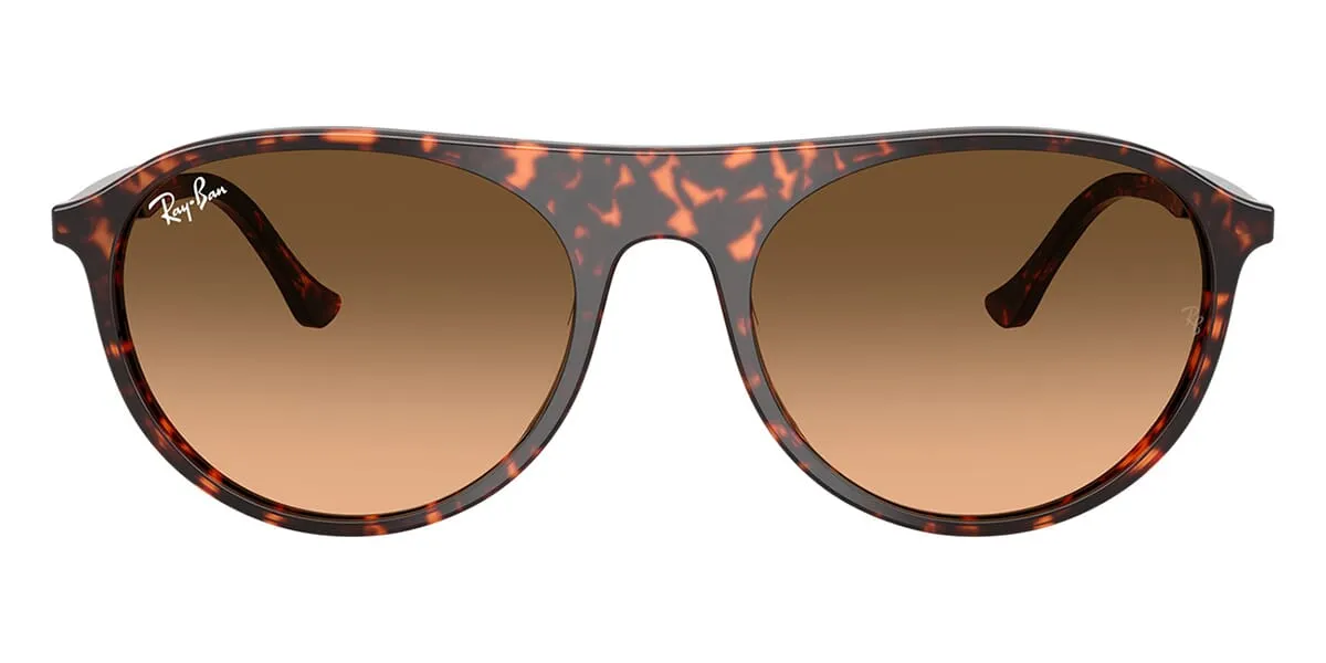 Ray-Ban RB 2215 1429/3B