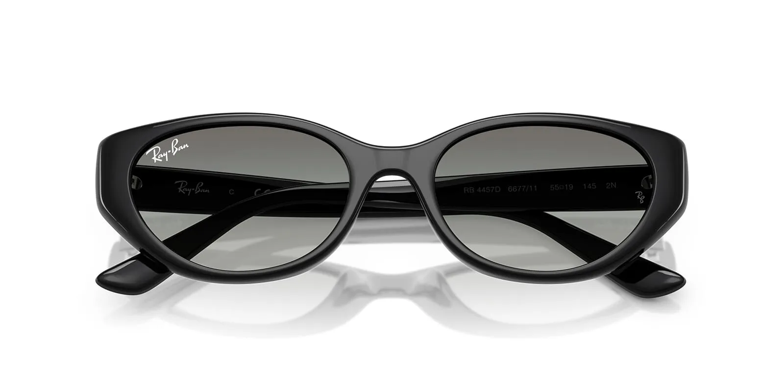 Ray-Ban RB 4457D 6677/11
