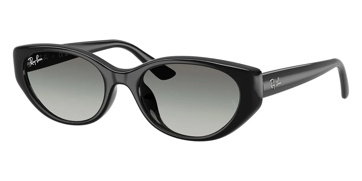 Ray-Ban RB 4457D 6677/11