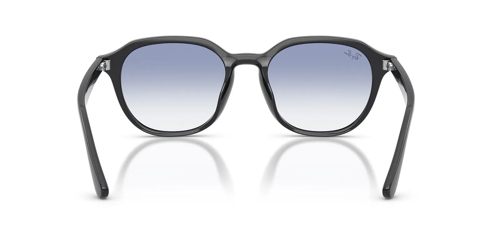 Ray-Ban RB 4459D 6230/19