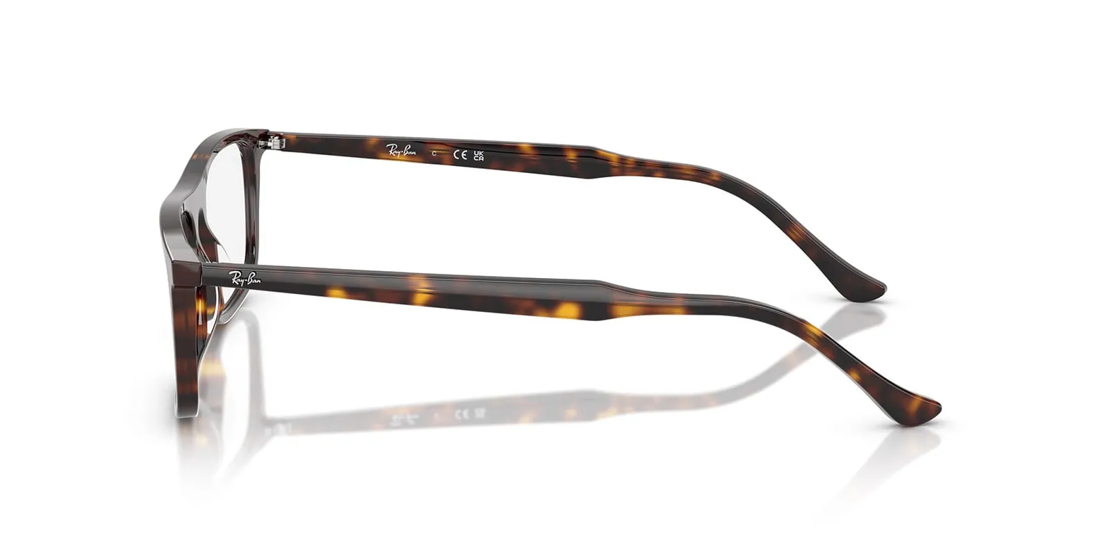 Ray-Ban RB 5440 2012